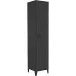 Dulapior metal